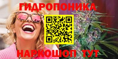 ешки Лесосибирск