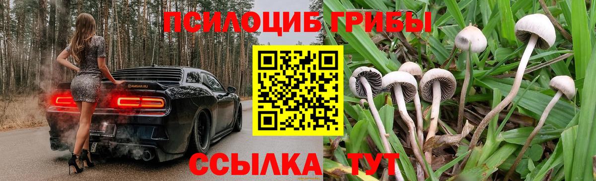 Татарск  Галлюциногенные грибы Psilocybine cubensis  Вход с VPN 